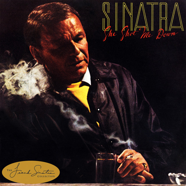 She Shot Me Down cover art