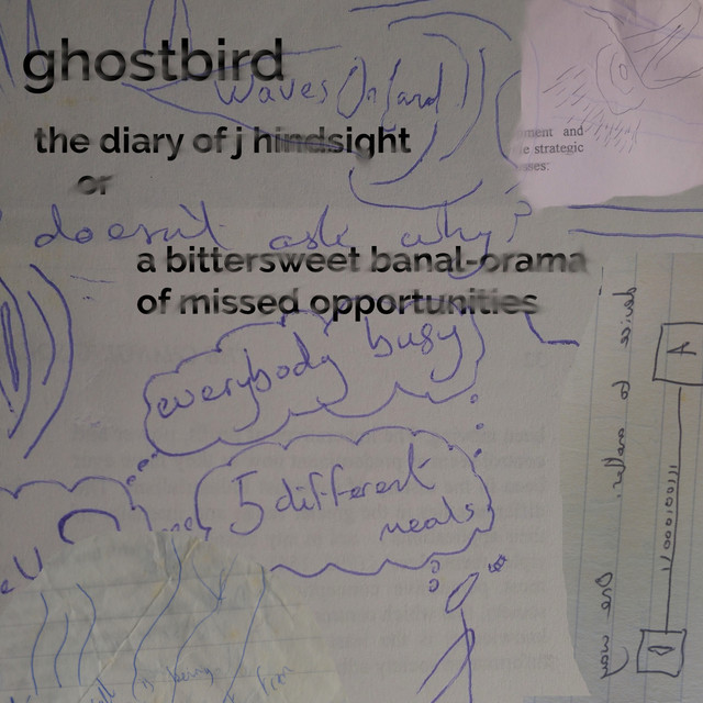 The Diary of J Hindsight cover