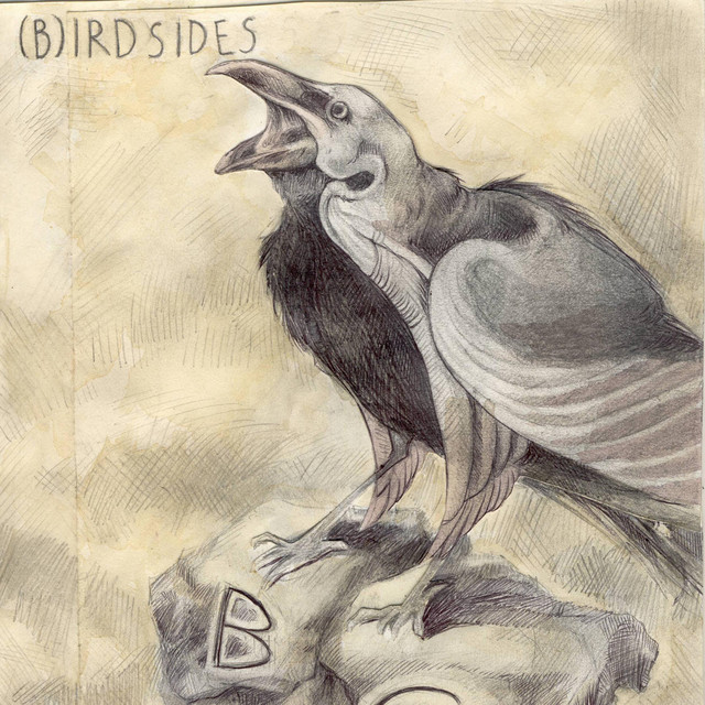Bird sides cover
