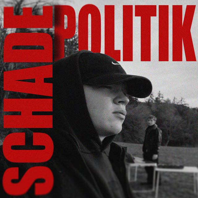 Schadepolitik cover