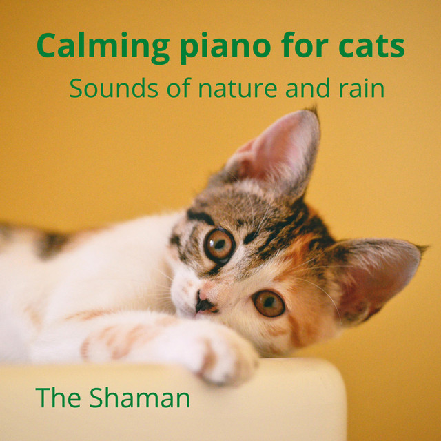 Calming piano for cats (sounds of nature and rain) - EP by The Shaman ...