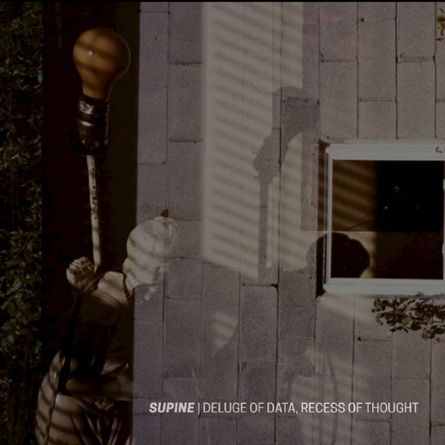 Deluge of Data, Recess of Thought cover