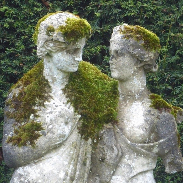 sorrow