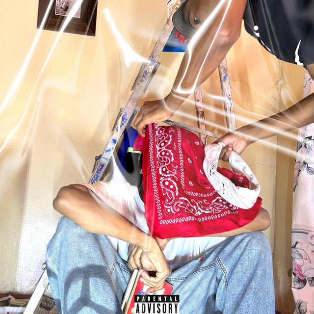 Miss cover art
