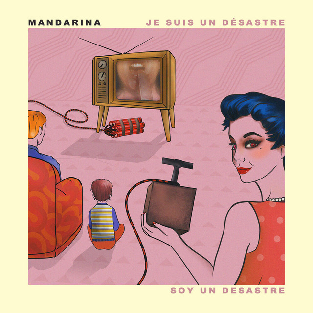Cover du titre Je suis un désastre
