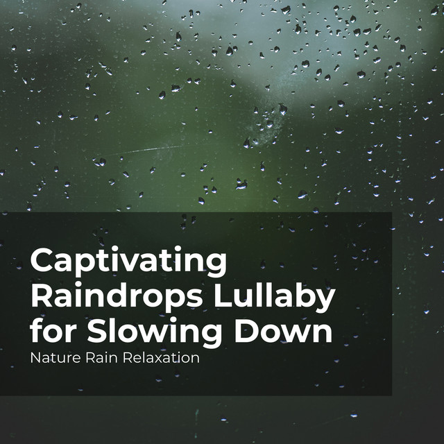 Captivating Raindrops Lullaby for Slowing Down - Album by Nature Rain ...