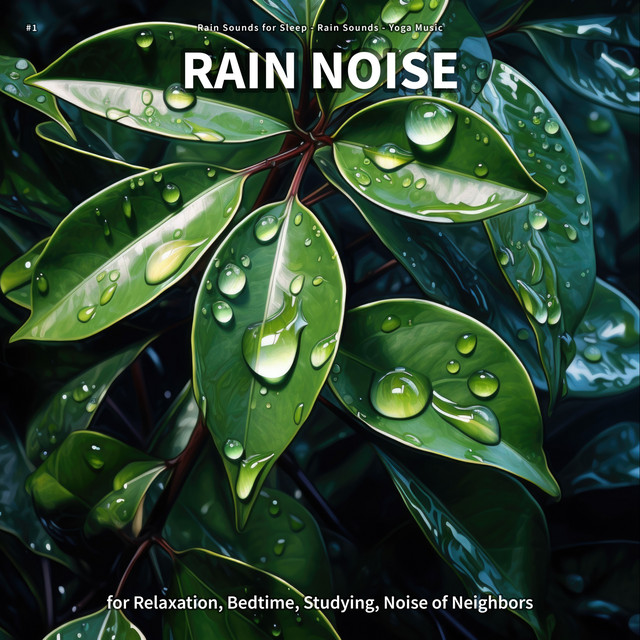 #1 Rain Noise for Relaxation, Bedtime, Studying, Noise of Neighbors cover art