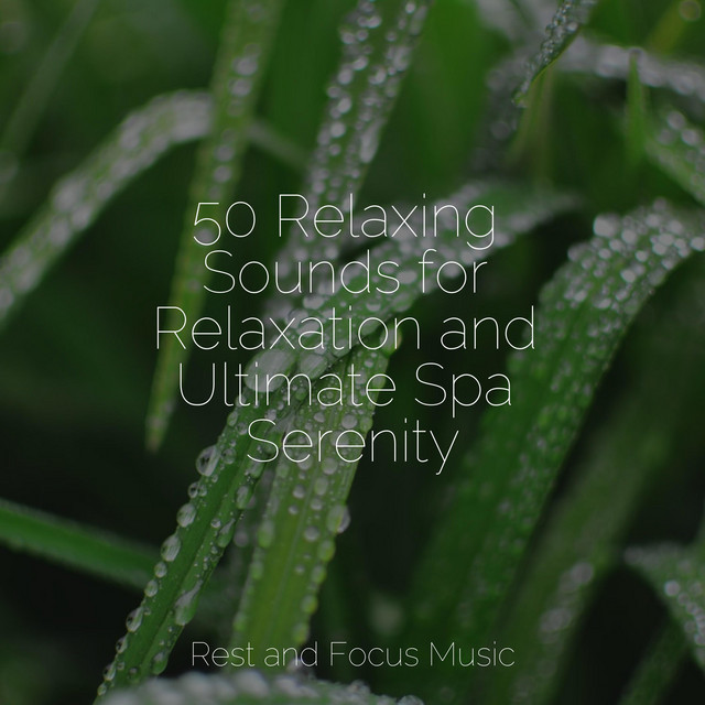 50 Relaxing Sounds for Relaxation and Ultimate Spa Serenity - Album by ...