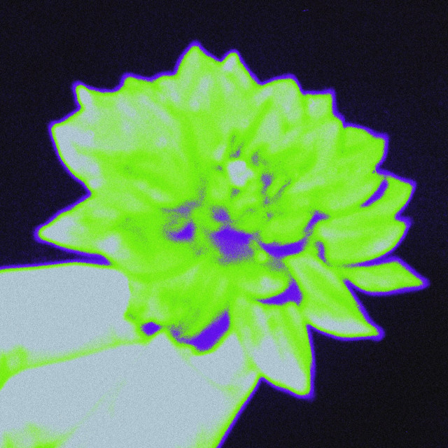 LAS ESPINAS DE ADENTRO cover art