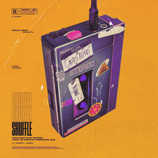 Shuffle cover art