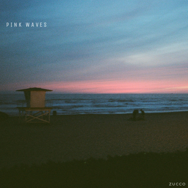 pink waves cover art