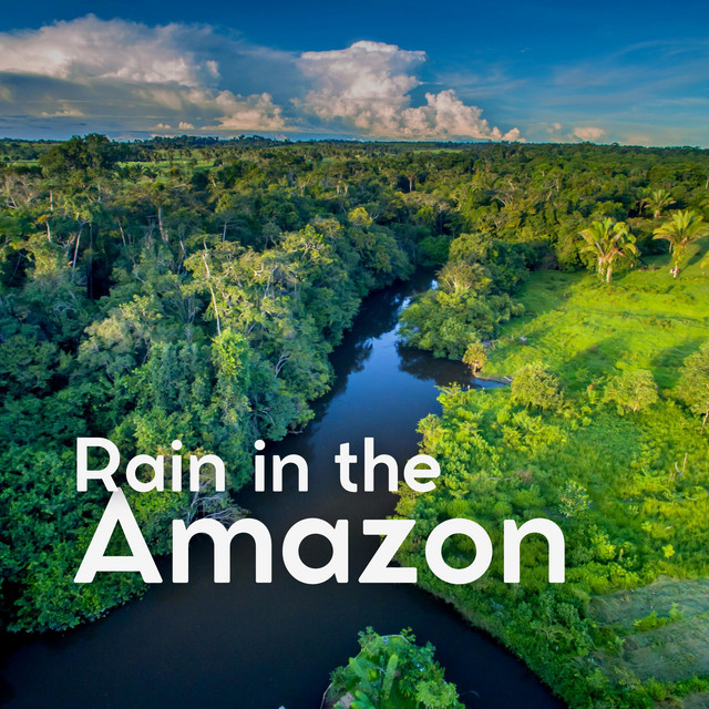 Rain in the Amazon
