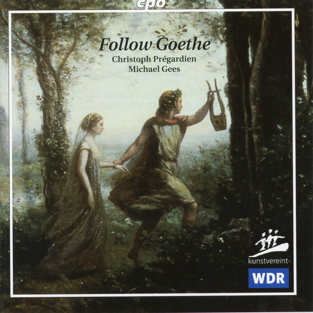 Follow Goethe cover art