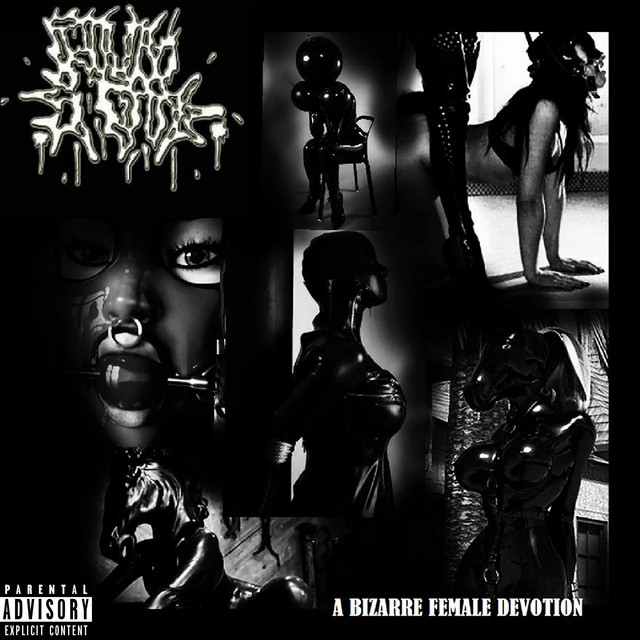 A Bizarre Female Devotion cover art