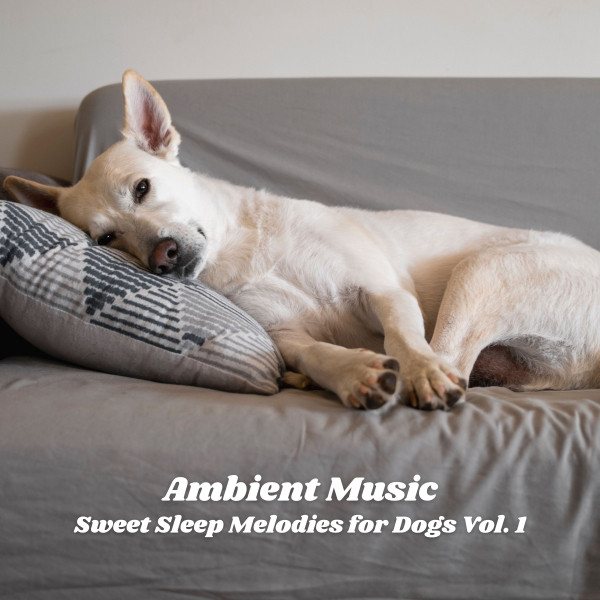 CD Music Relaxing Dog ソニーミュージック With 中古品