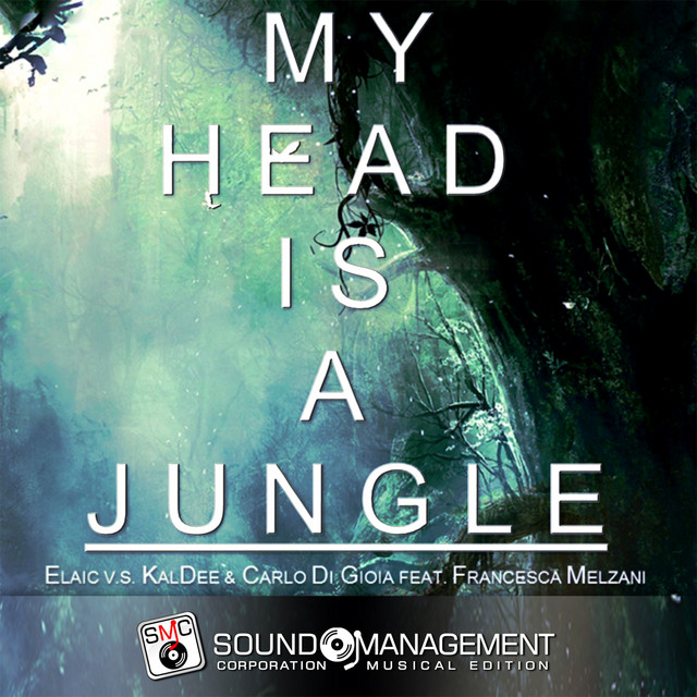My Head Is A Jungle Radio Edit