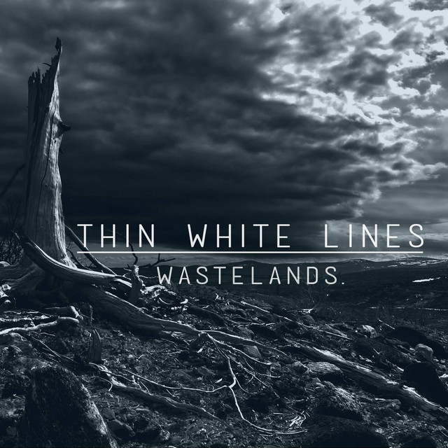 Wastelands cover