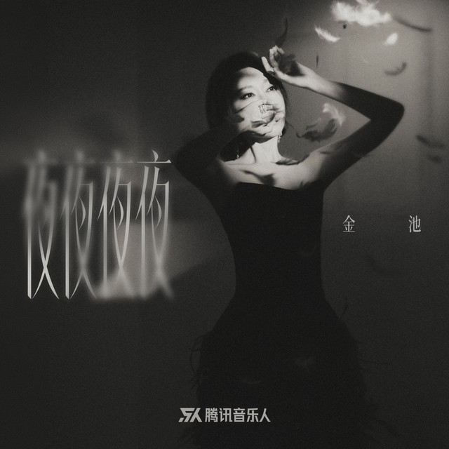 夜夜夜夜 cover