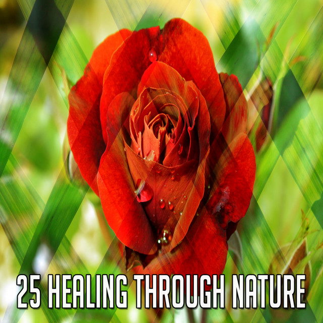 25 Healing Through Nature - Album by Pet Care Music Therapy | Spotify