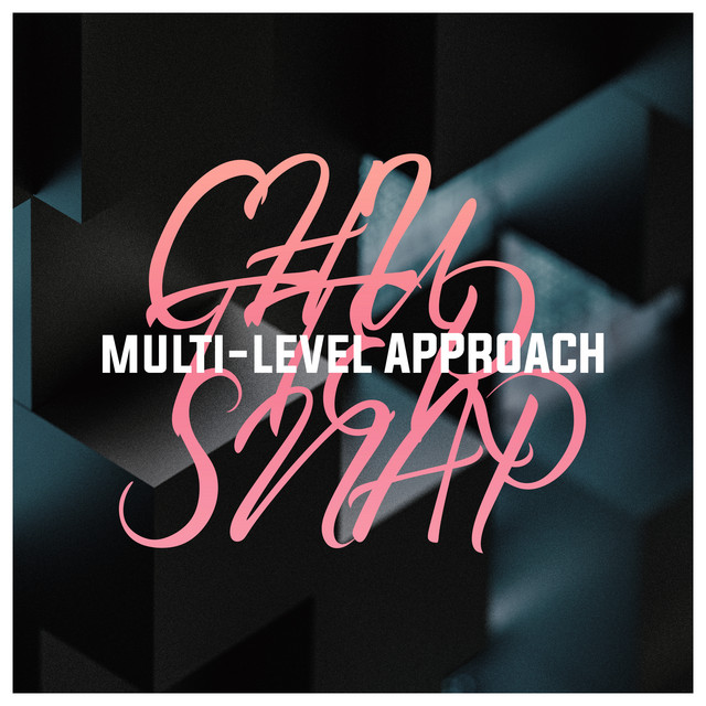 Multi-Level Approach cover