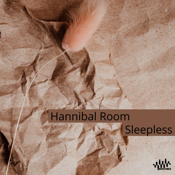 Sleepless cover art