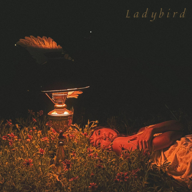 Ladybird cover art
