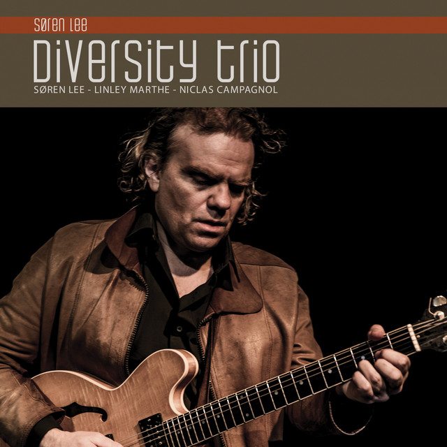 Søren Lee Diversity Trio cover art