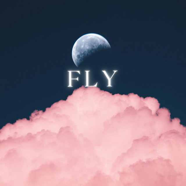 FLY cover art