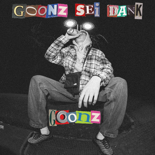 GOONZ SEI DANK cover art