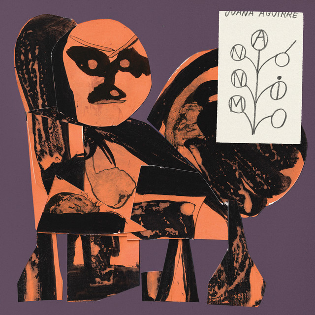 anónimo cover art