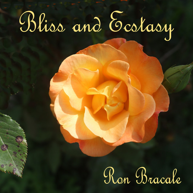 Bliss and Ecstasy cover