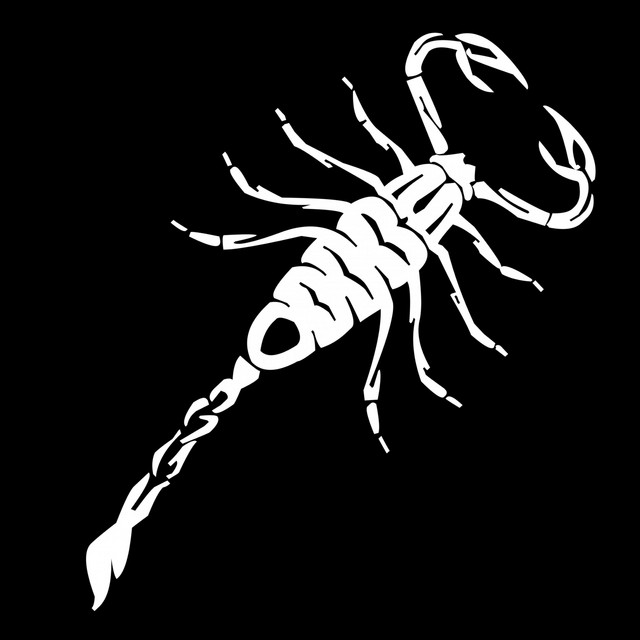 Scorpion cover