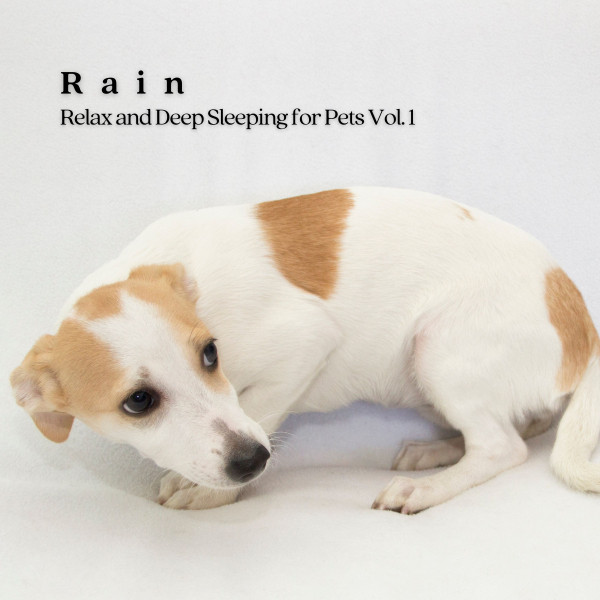 Rain: Relax and Deep Sleeping for Pets Vol. 1 cover art