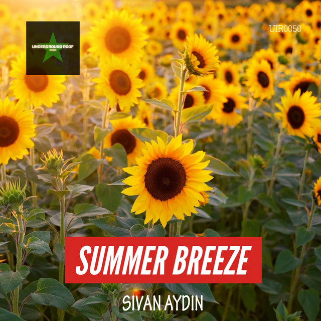 Summer Breeze - Original Mix