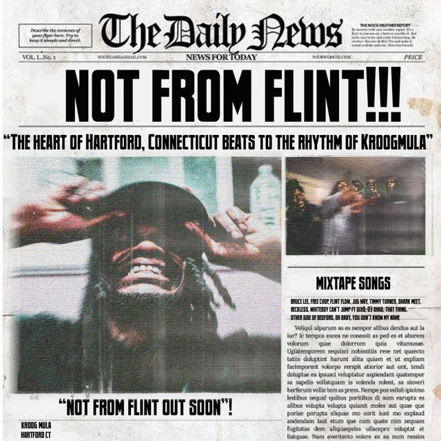 NOT FROM FLINT cover art