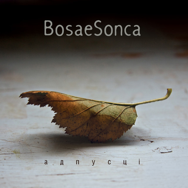 BosaeSonca Photo