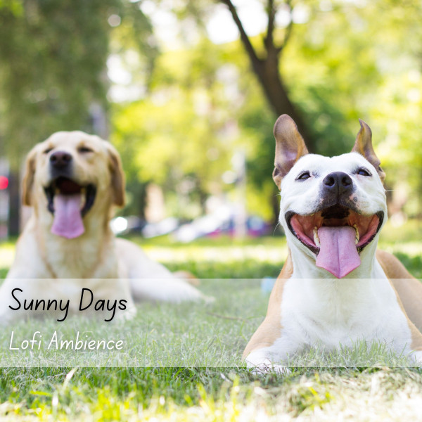 Lofi Ambience: Sunny Days cover art