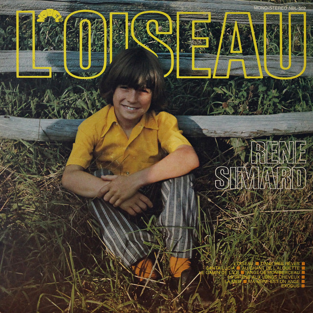L'oiseau cover art