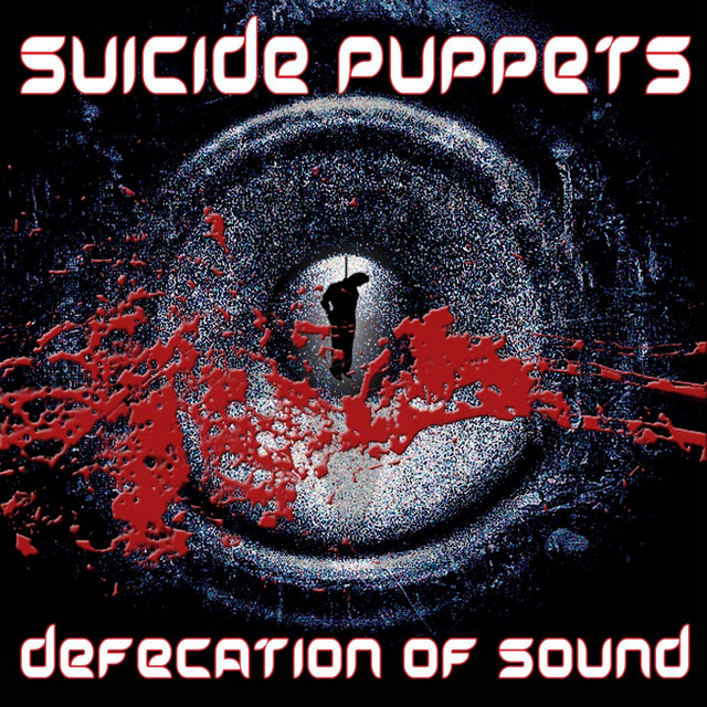 Defecation of Sound cover