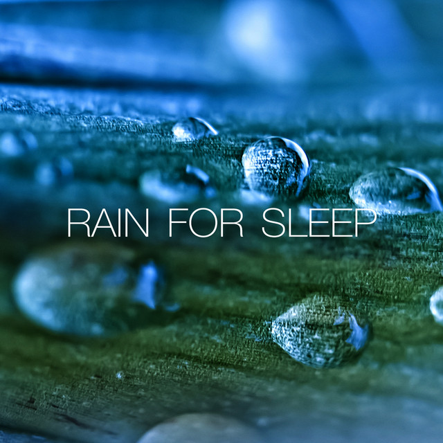 Rains for Sleep cover art