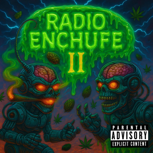 Radio enchufe 2