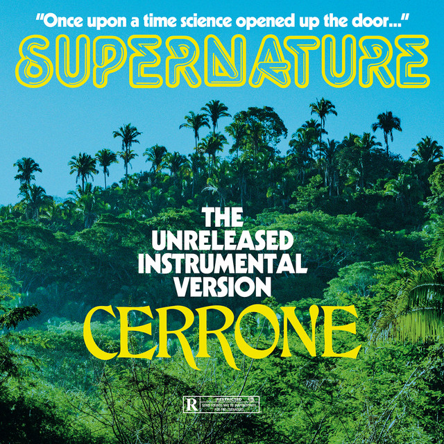Supernature - Instrumental CLIMAX Edit