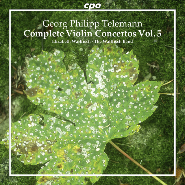 Telemann: Complete Violin Concertos, Vol. 5 cover art