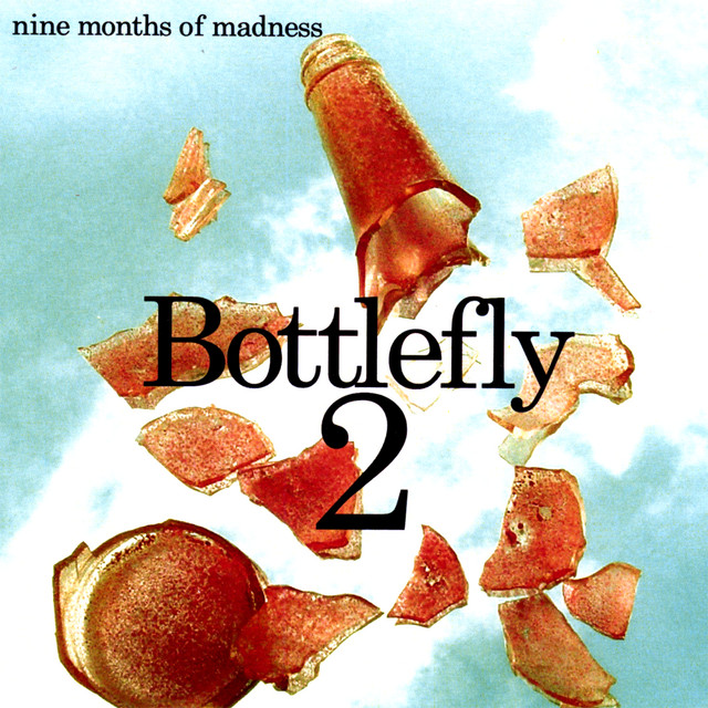 Bottlefly 2 cover