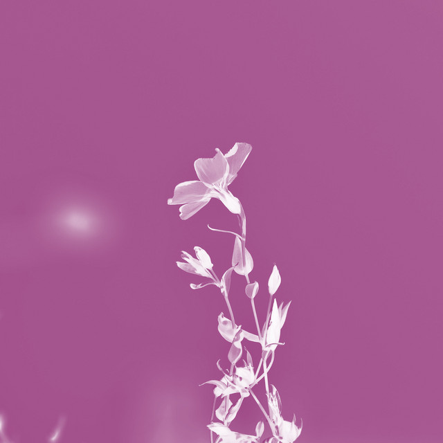 Complicated cover art