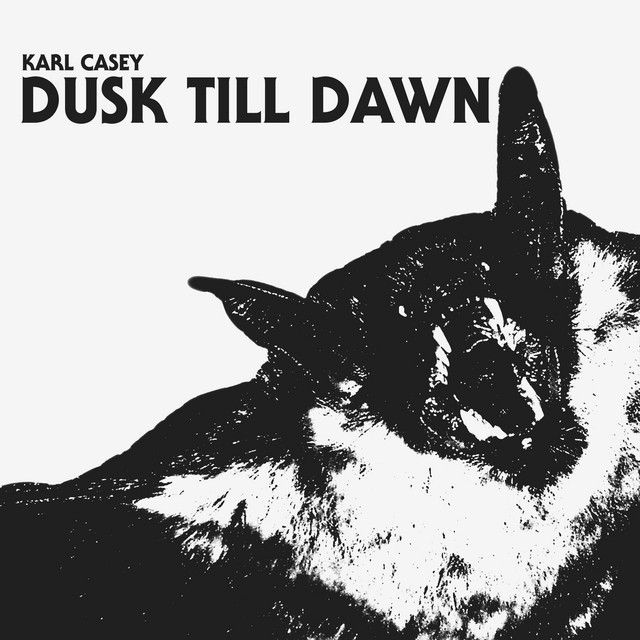 Dusk Till Dawn cover art