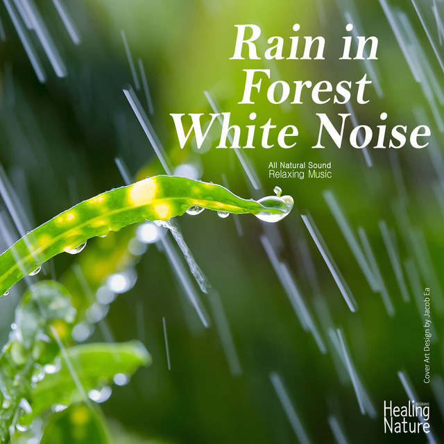 Rain in Forest White Noise (Relaxation, Relaxing Muisc, White Noise, Insomnia, Deep Sleep, Meditation, Concentration, Lullaby, Prenatal Care, Healing, Memorization, Yoga, Spa) cover art