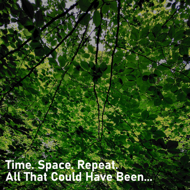 All That Could Have Been... (single)