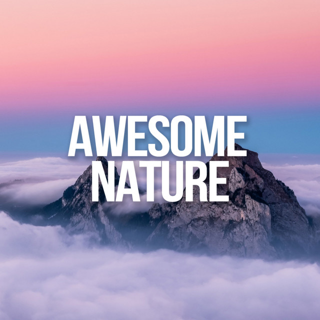 Awesome Nature Sounds cover art