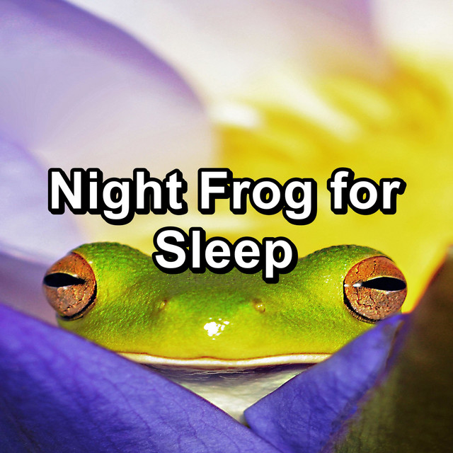 Night Frog for Sleep cover art